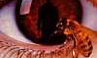 קנדימן כתובית | Candyman Subtitle