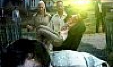 מימסיס כתובית | Mimesis Subtitle