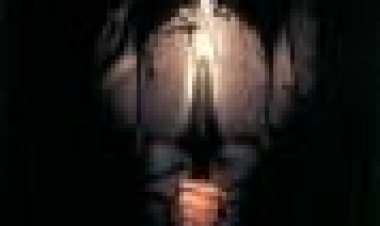 האב החורג 3 כתובית | Stepfather III Subtitle