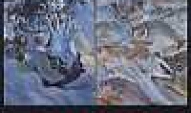 דג הטרף כתובית | Killer Fish Subtitle