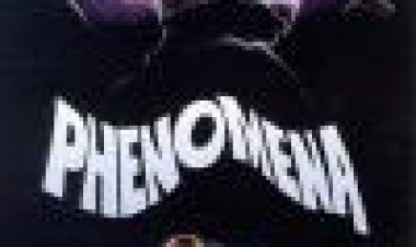 תופעה כתובית | Phenomena Subtitle