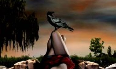 יומני הערפד עונה 7 כתובית | The Vampire Diaries Season 7 Subtitle