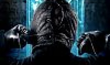 האספן 2: האוסף כתובית | The Collection Subtitle