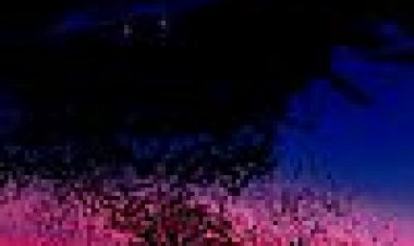 עטלפים כתובית | Bats Subtitle