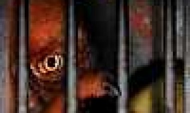 רוע מנוון כתובית | Decadent Evil Subtitle