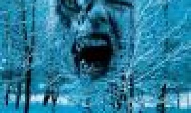 פיתיון כתובית | Decoys Subtitle