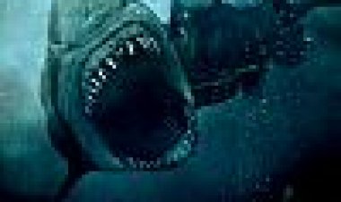 ליל הכריש כתובית | Shark Night 3D Subtitle