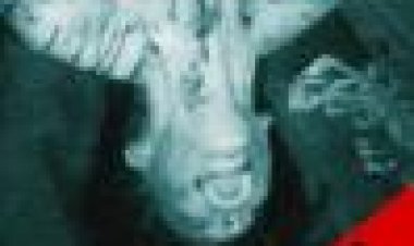 ישות פאראנורמלית כתובית | Paranormal Entity Subtitle