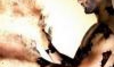 מַגְעִיל כתובית | Horrid Subtitle