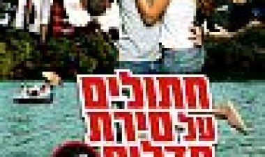 חתולים על סירת פדלים כתובית | Cats On A Pedal Boat Subtitle