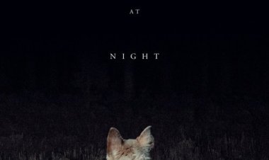 זה מגיע בלילה כתובית | It Comes at Night Subtitle