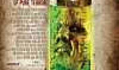 הזעם כתובית | The Rage Subtitle