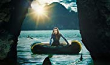 טירוף כתובית | Frenzy Subtitle