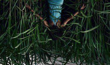 בעשב הגבוה כתובית | In the Tall Grass Subtitle