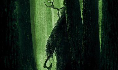 טעות בכיוון כתובית | Wrong Turn Subtitle