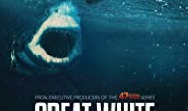 העמלץ הלבן כתובית | Great White Subtitle