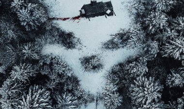 פעילות על טבעית: שאר הבשר כתובית | Paranormal Activity: Next of Kin Subtitle