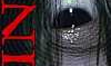 רינגו כתובית | Ringu Subtitle