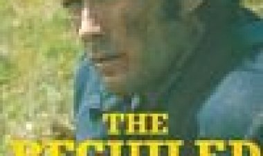 נקמניות כתובית | The Beguiled Subtitle