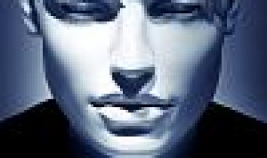 לילות אל.איי. כתובית | The Informers Subtitle