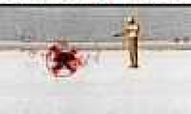 פארק העונשים כתובית | Punishment Park Subtitle