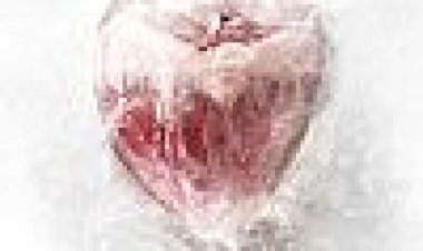 קניבל כתובית | Canibal Subtitle