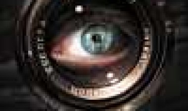 קופסת צללים כתובית | Shadowbox Subtitle