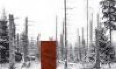 בכי ביער כתובית | Cry In The Woods Subtitle