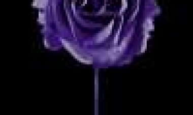 אני יודעת מי הרג אותי כתובית | I Know Who Killed Me Subtitle