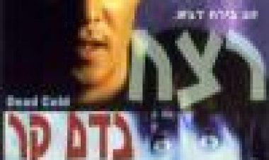 רצח בדם קר כתובית | Dead Cold Subtitle