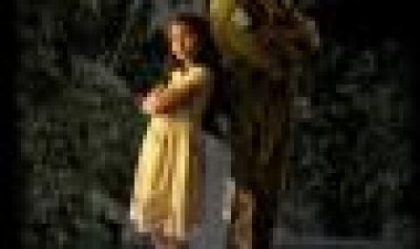 הפניקס נופל כתובית | Phoenix Falling Subtitle