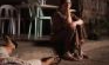 מבוקש: גבול כתובית | Wanted: Border Subtitle