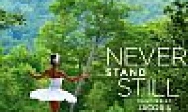 לעולם אל תעמוד עדיין כתובית | Never Stand Still Subtitle