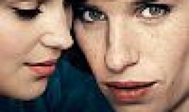 הנערה הדנית כתובית | The Danish Girl Subtitle