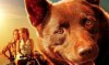 כלב ג'ינג'י כתובית | Red Dog Subtitle