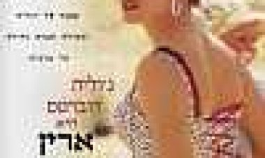 ארין ברוקוביץ' כתובית | Erin Brockovich Subtitle
