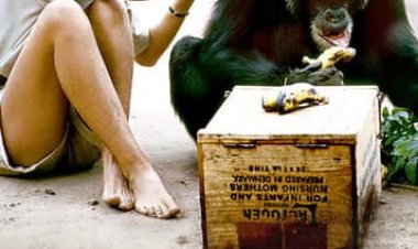 ג'יין כתובית | Jane Subtitle