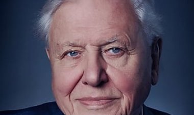 דייוויד אטנבורו: על פני האדמה כתובית | David Attenborough: A Life on Our Planet Subtitle