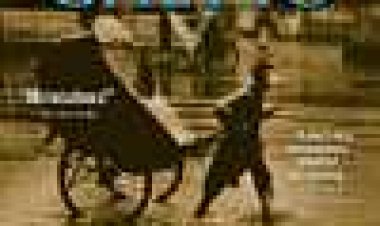 גטו שנחאי כתובית | Shanghai Ghetto Subtitle