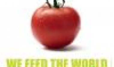 אנחנו מזינים את העולם כתובית | We Feed The World Subtitle