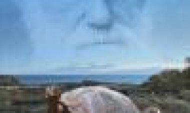 הגאוניות של צ'רלס דרווין כתובית | The Genius Of Charles Darwin Subtitle