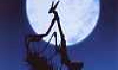 מיקרוקוסמוס כתובית | Microcosmos Subtitle