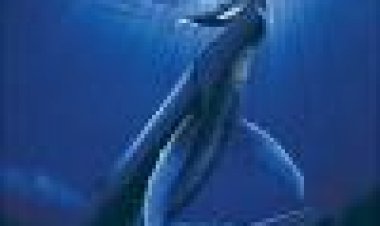 לווייתנים: מסע בלתי נשכח כתובית | Whales: An Unforgettable Journey Subtitle