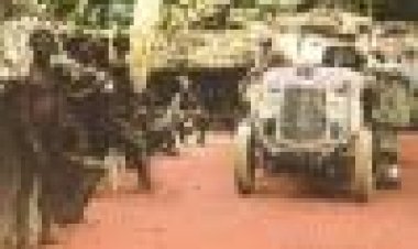 המסע השחור כתובית | Black Journey Subtitle