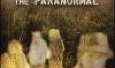 ספריית די - וי - די זמנים מודרנים ילדים פסיכיאטרים - כתובית | Psychic Kids: Children Of The Paranormal Subtitle