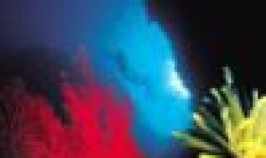 הים החי כתובית | The Living Sea Subtitle