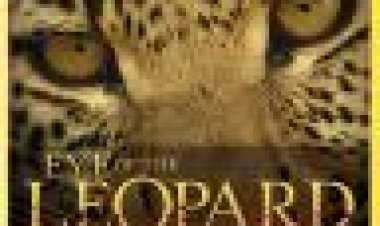 עין הנמר כתובית | Eye Of The Leopard Subtitle