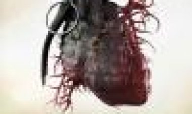 ארמדילו כתובית | Armadillo Subtitle