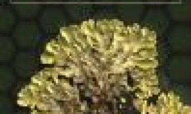 רובינסון בהריסות כתובית | Robinson In Ruins Subtitle