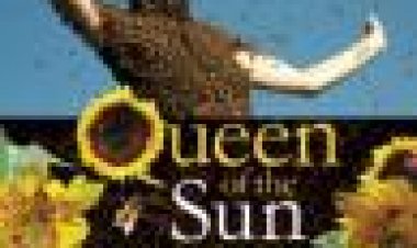 מלכת השמש: מה הדבורים מספרות לנו? כתובית | Queen Of The Sun: What Are The Bees Telling Us? Subtitle